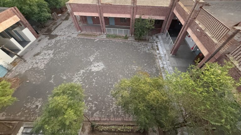 Concrete Vs Trees